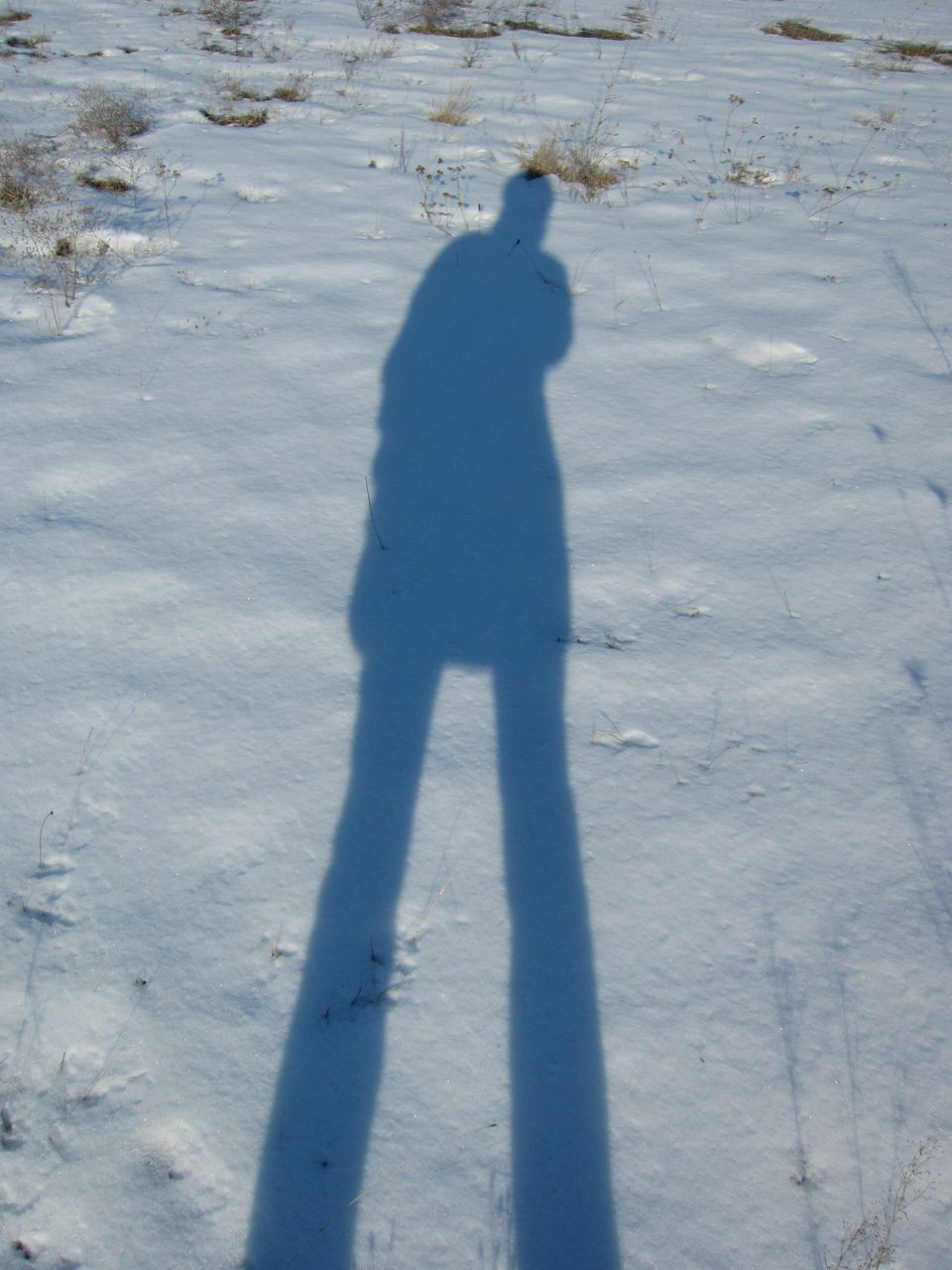 Екатерина Аврам | Киев