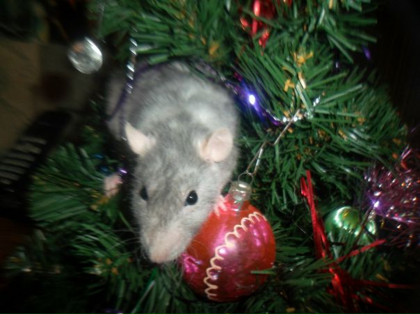 №12, Ксюша Попойкина №12, Ксюша Попойкина