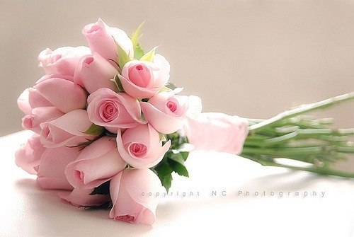 Альбина Гарипова | Набережные Челны