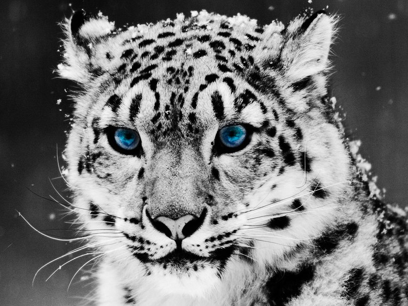 Вячеслав Фролов | Луганск