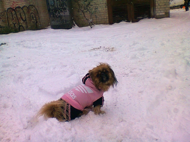 Мар'яна Гусєва | Тернополь