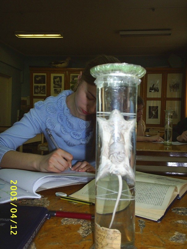 Анастасия Ярошевич °*”˜˜”*°•.Сладкие_Букеты.•°*”˜˜”*° | Ижевск