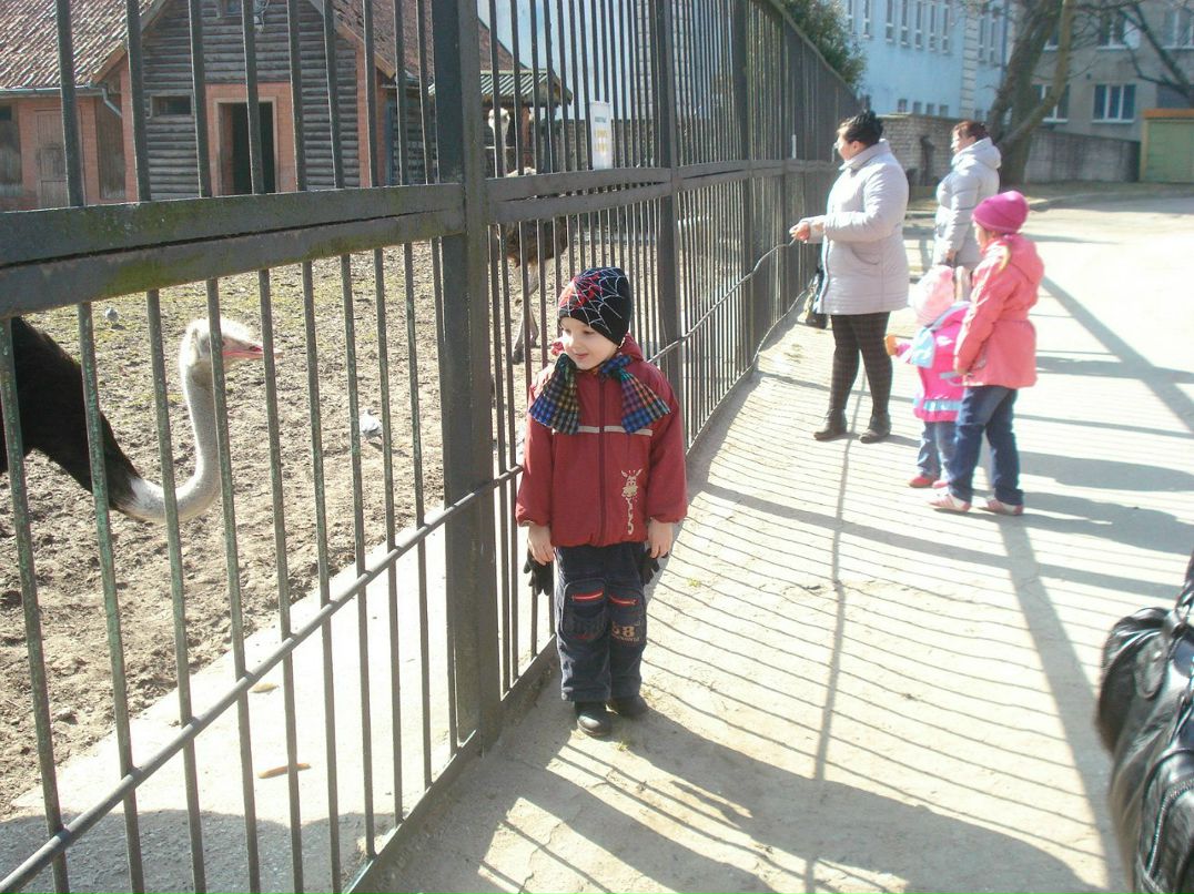 Иван Чемерко Карторис | Калининград