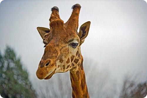 №25, Витка Томчышена, Хмельницкий №25, Витка Томчышена, Хмельницкий