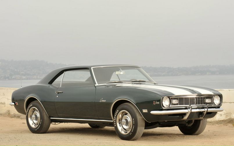 Никита Тиньков | Донецк