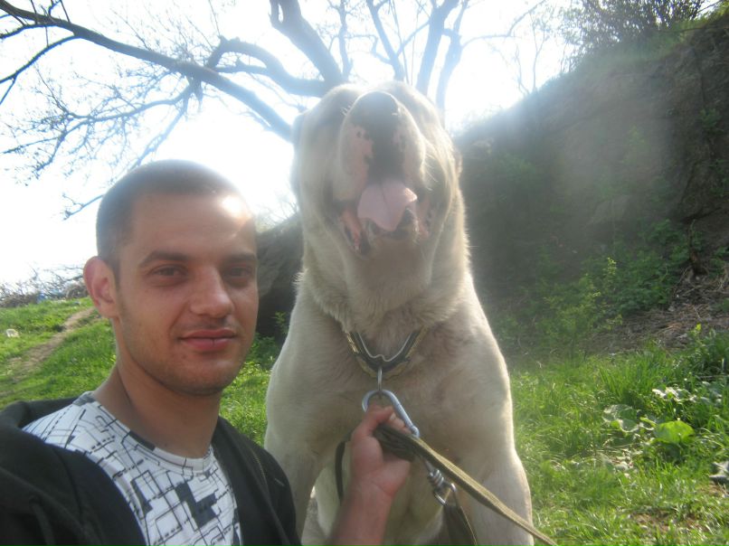 Саня Андреев | Кропивницкий / Кировоград