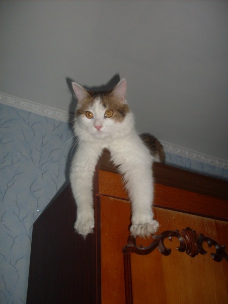 №50, Ярослав Слободской, 33 года, Киев №50, Ярослав Слободской, 33 года, Киев