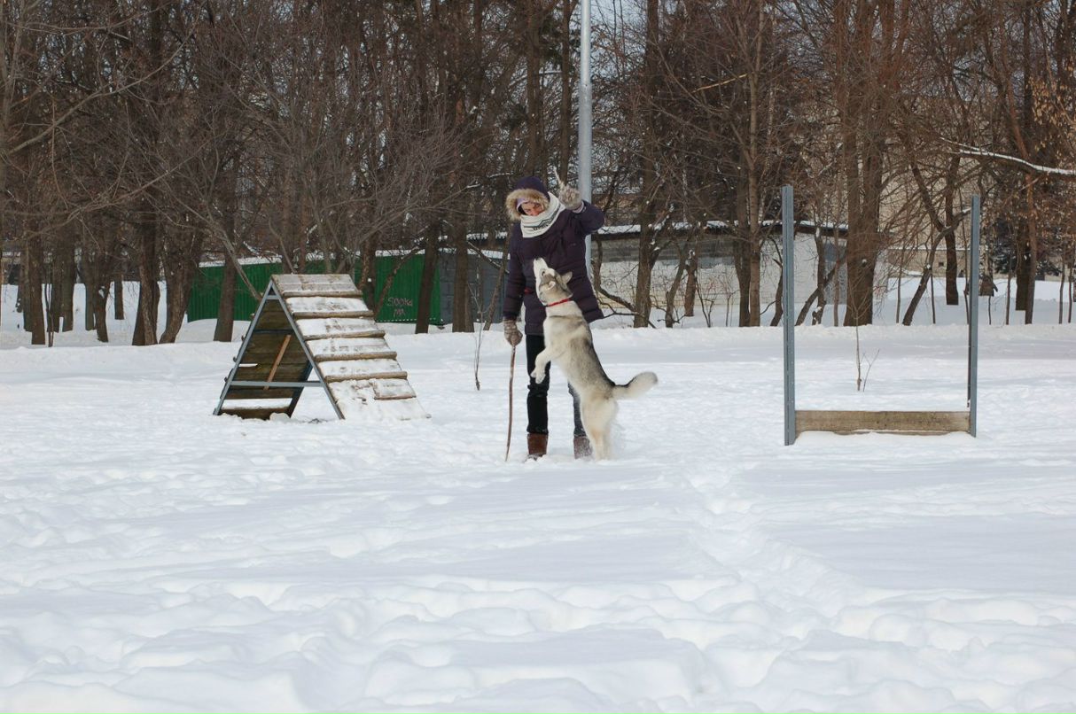 Андрей Ермаков | Москва