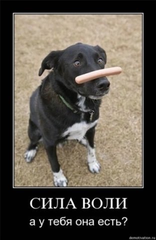 Ева Кошовенко | Чернигов