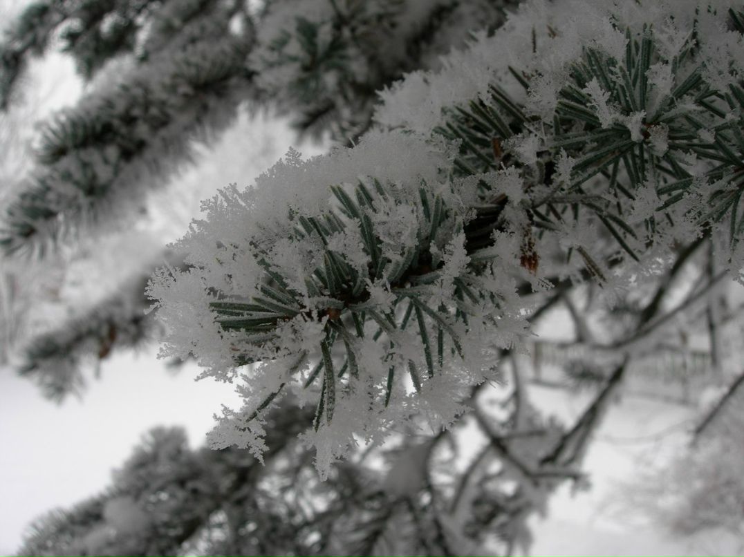 Виктор Родигин | Санкт-Петербург