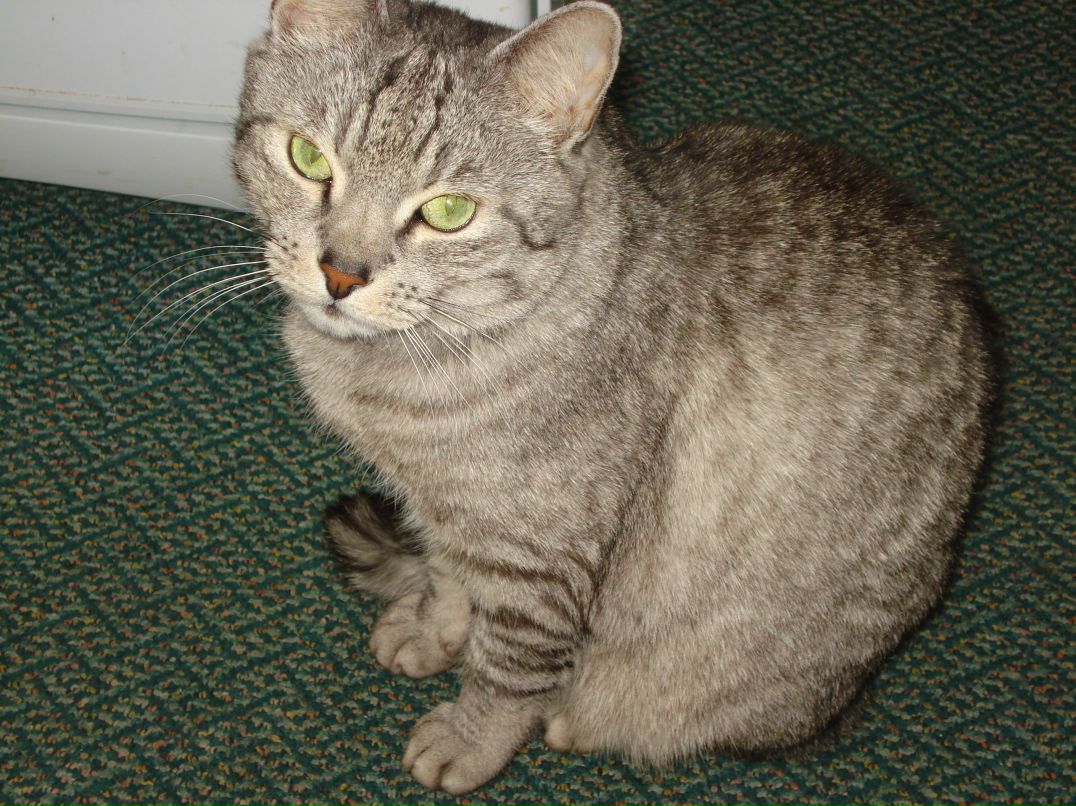 Людмила Мельник | Сланцы