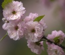 Фотография Максимовой Танюшки