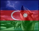№23 Вугар Алиев
