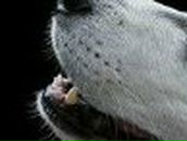 Артем Лаврентьев | Чебоксары