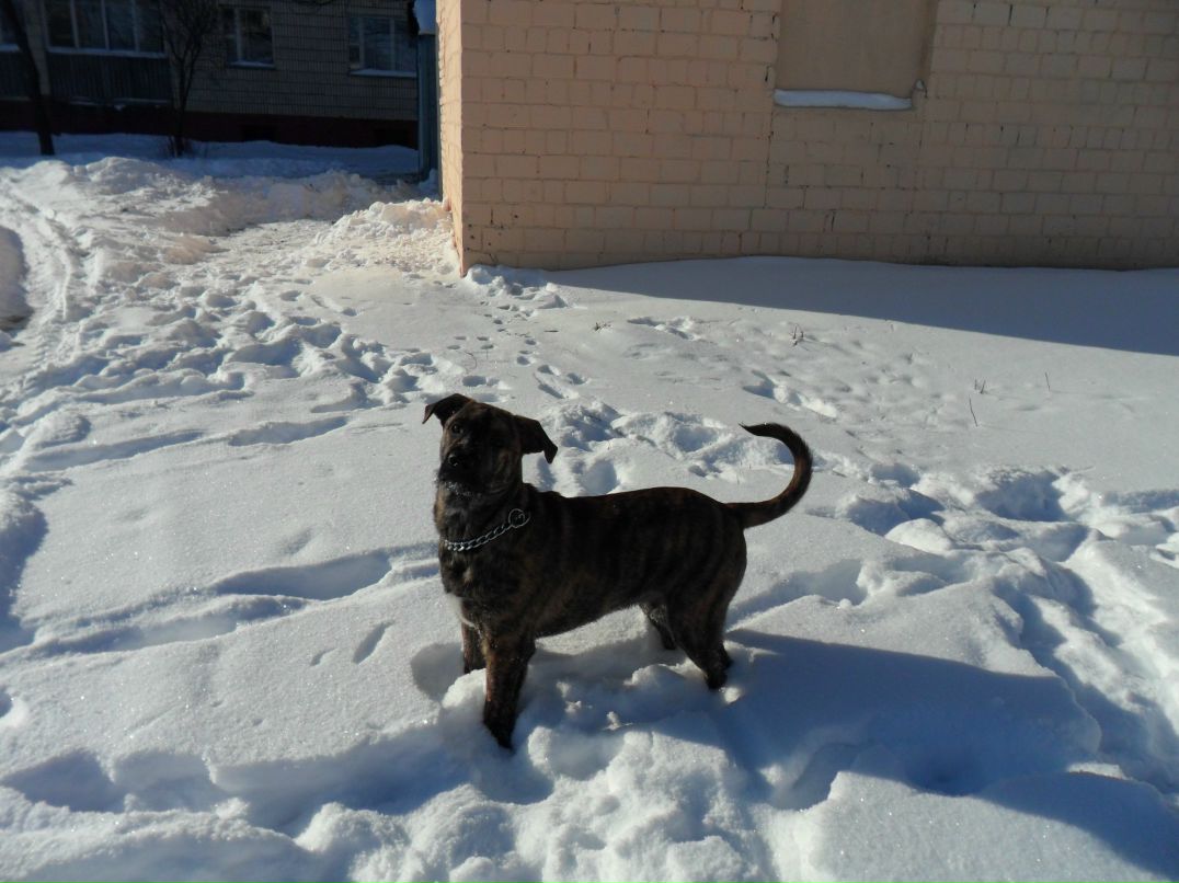 Александр Колодей 웃♥유 | Жлобин