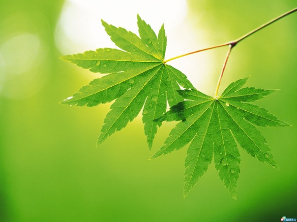 №3, Кристина Возгрина, 26 лет, Искитим №3, Кристина Возгрина, 26 лет, Искитим