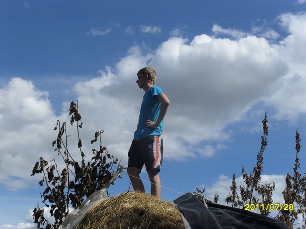 №16, Дмитрий Иванов №16, Дмитрий Иванов