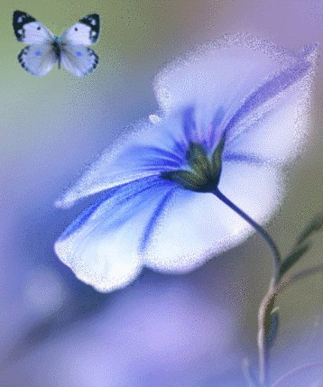 Вераника Иванова | Санкт-Петербург