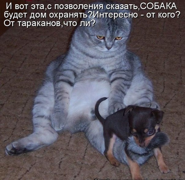 №165, Екатерина Баскова, Санкт-Петербург №165, Екатерина Баскова, Санкт-Петербург