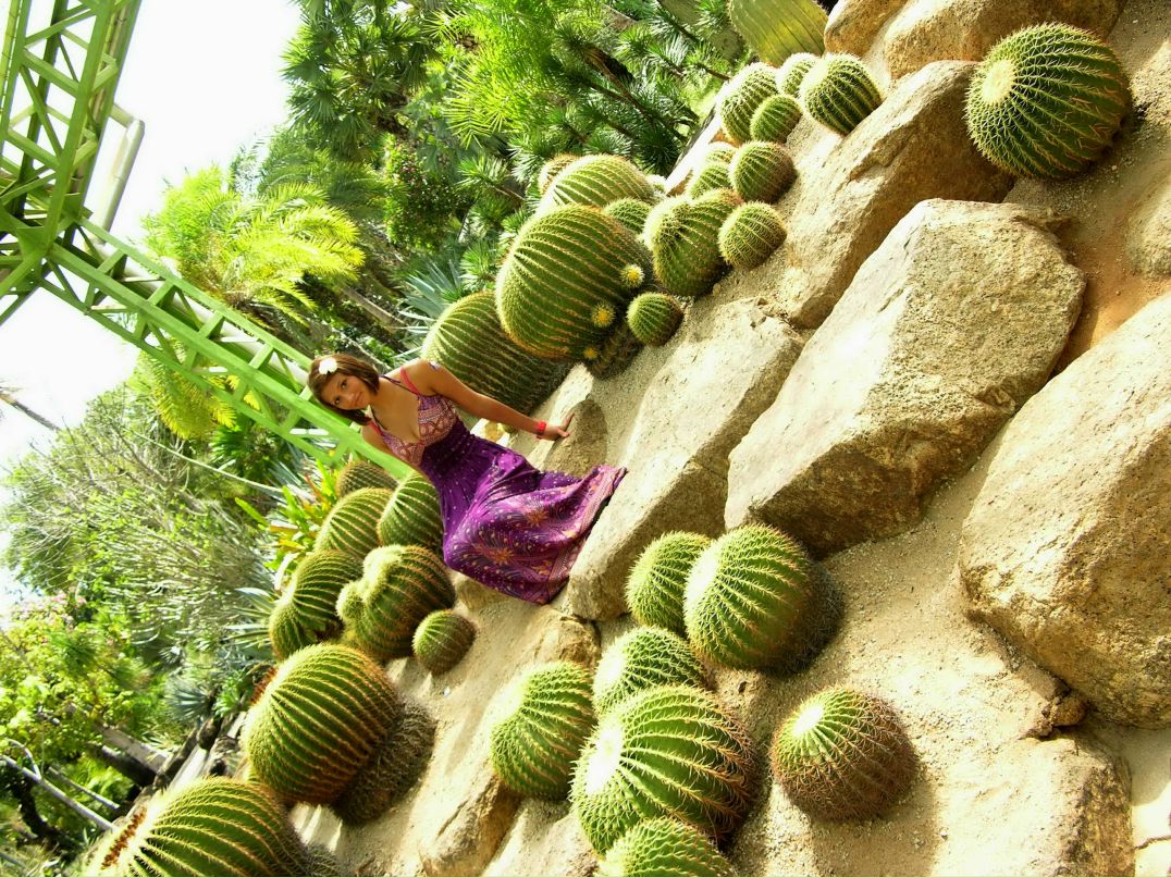 Настя Зелинская | 