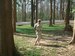 Sandra Levickaja фотография #39 (источник - https://vk.com/id25233071)