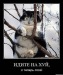 Саша Сегедский фотография #4