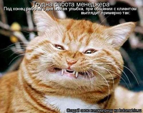 Вера Козлова | Санкт-Петербург