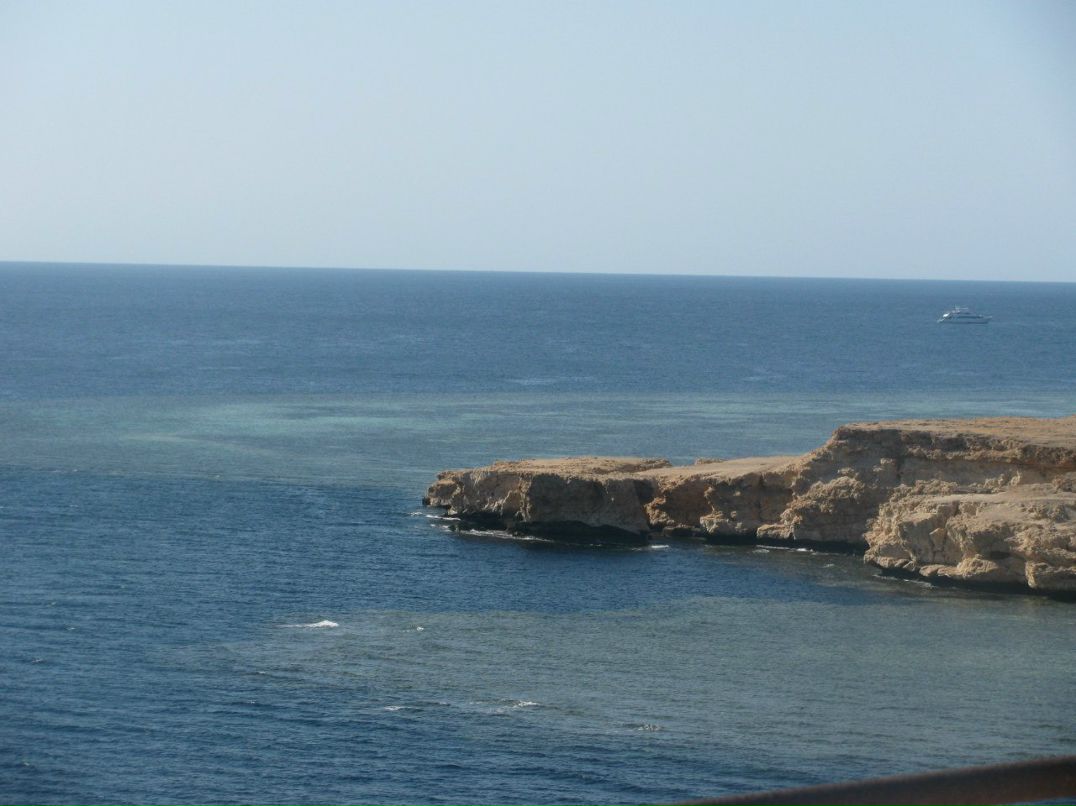 Максим Лукашеня | Барановичи