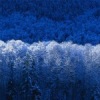 Аватар: Светлана Ульянкина