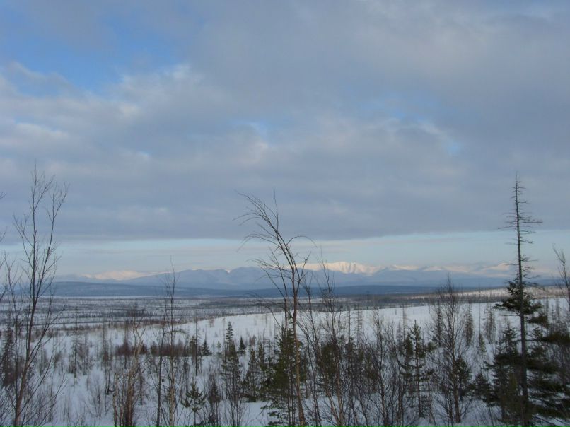 Валентина Щербакова | Мончегорск