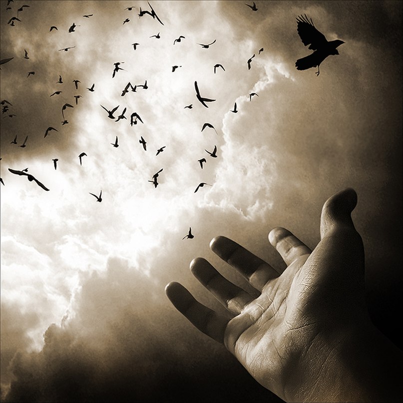 Сергей Таширев | Санкт-Петербург