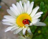 №22 Анна Терлеева 27.04: профиль, фото, статус - ВКонтакте