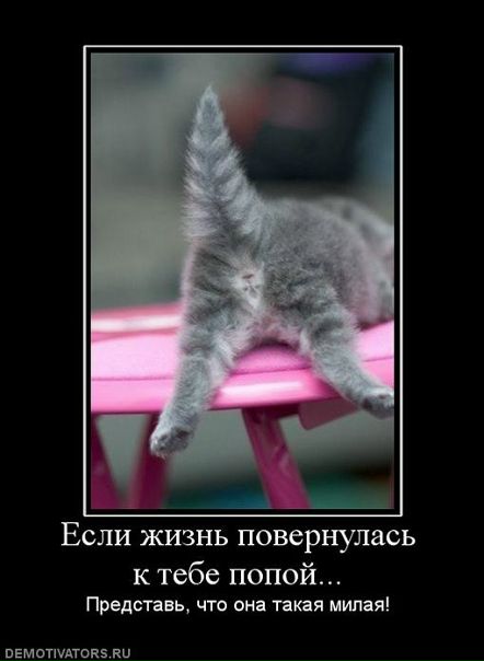 №10, Диана Титух, Санкт-Петербург №10, Диана Титух, Санкт-Петербург