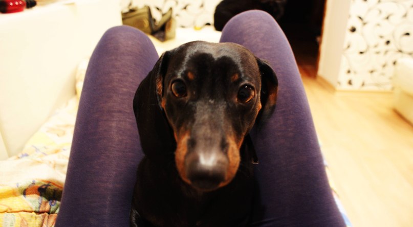 Даша Лемур | Самара