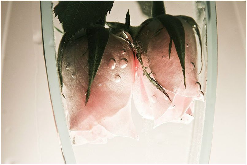 Шегим Мирзаева | Уфа