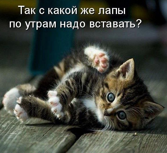 Риза Эмиросманов Шакирович | 