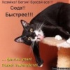 Аватар: Соничка Ширемот