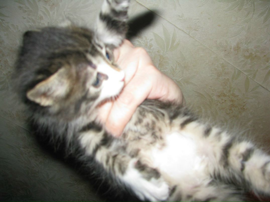 Андрей Макаров | Москва