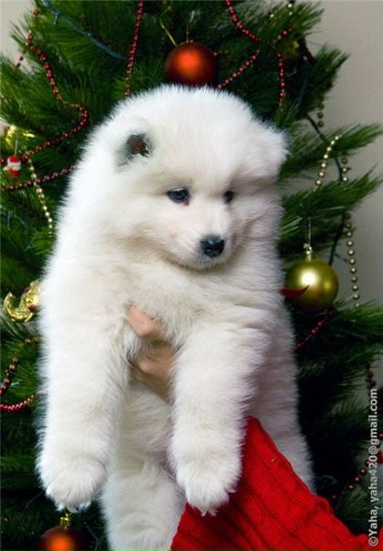 №129, Юлія Кавеліна, Днепр (Днепропетровск) №129, Юлія Кавеліна, Днепр (Днепропетровск)