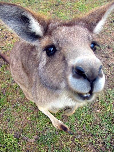 №84, Евгений Гороховик, Костомукша №84, Евгений Гороховик, Костомукша