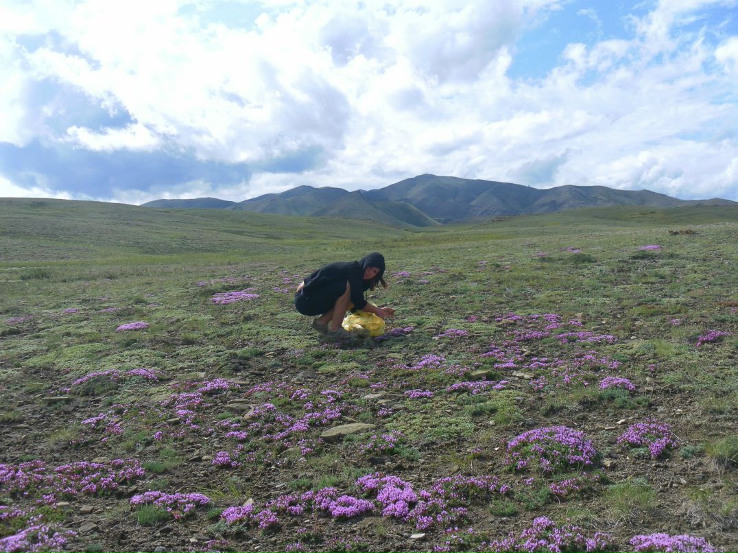 Ксения Кроль | Санкт-Петербург