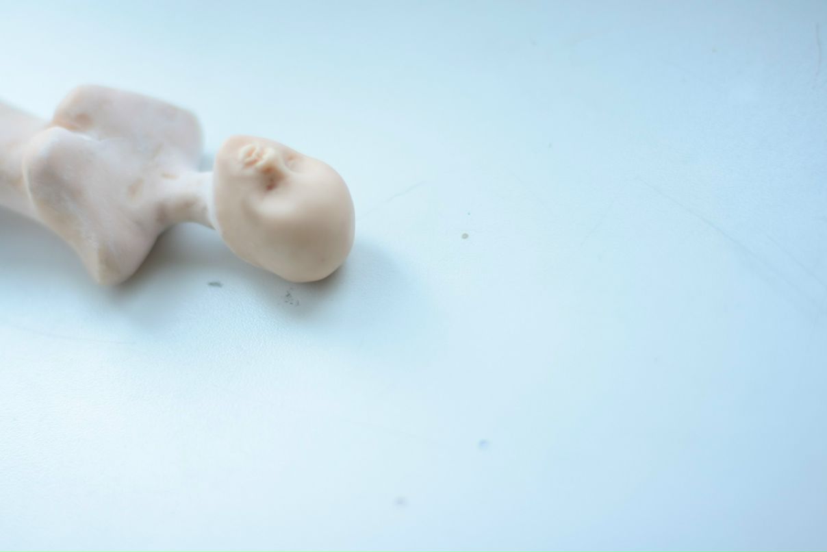 Ольга Прокопович | 