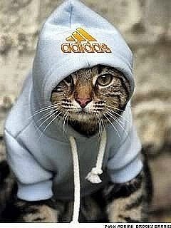 №5, Артем Прокопьев №5, Артем Прокопьев