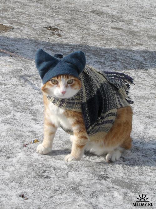 Максим Манжелей | Волгоград