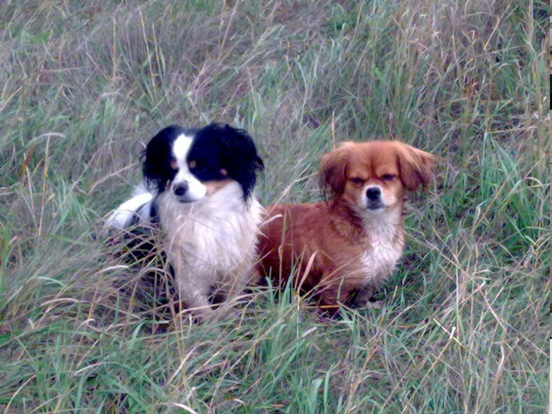 Сергей Селянкин | Череповец