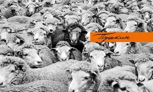 Елена Москвина | Ухта