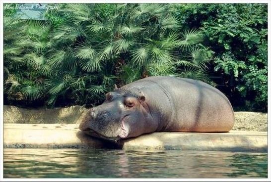 Веральдина Смелая | Симферополь