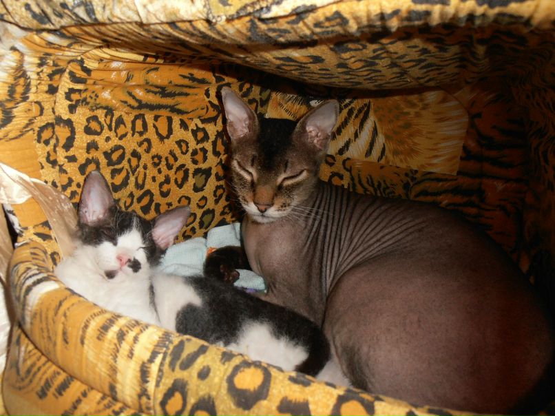 Михаил Москалик | Екатеринбург