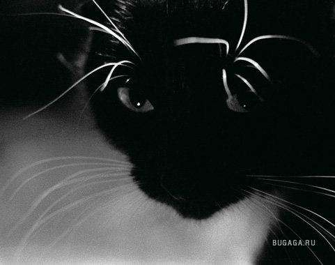 Надежда Кондратьева | Москва