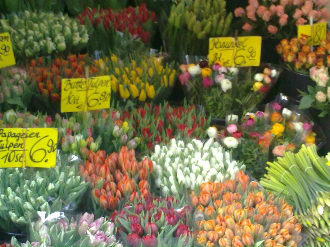 Марина Дитева | Москва